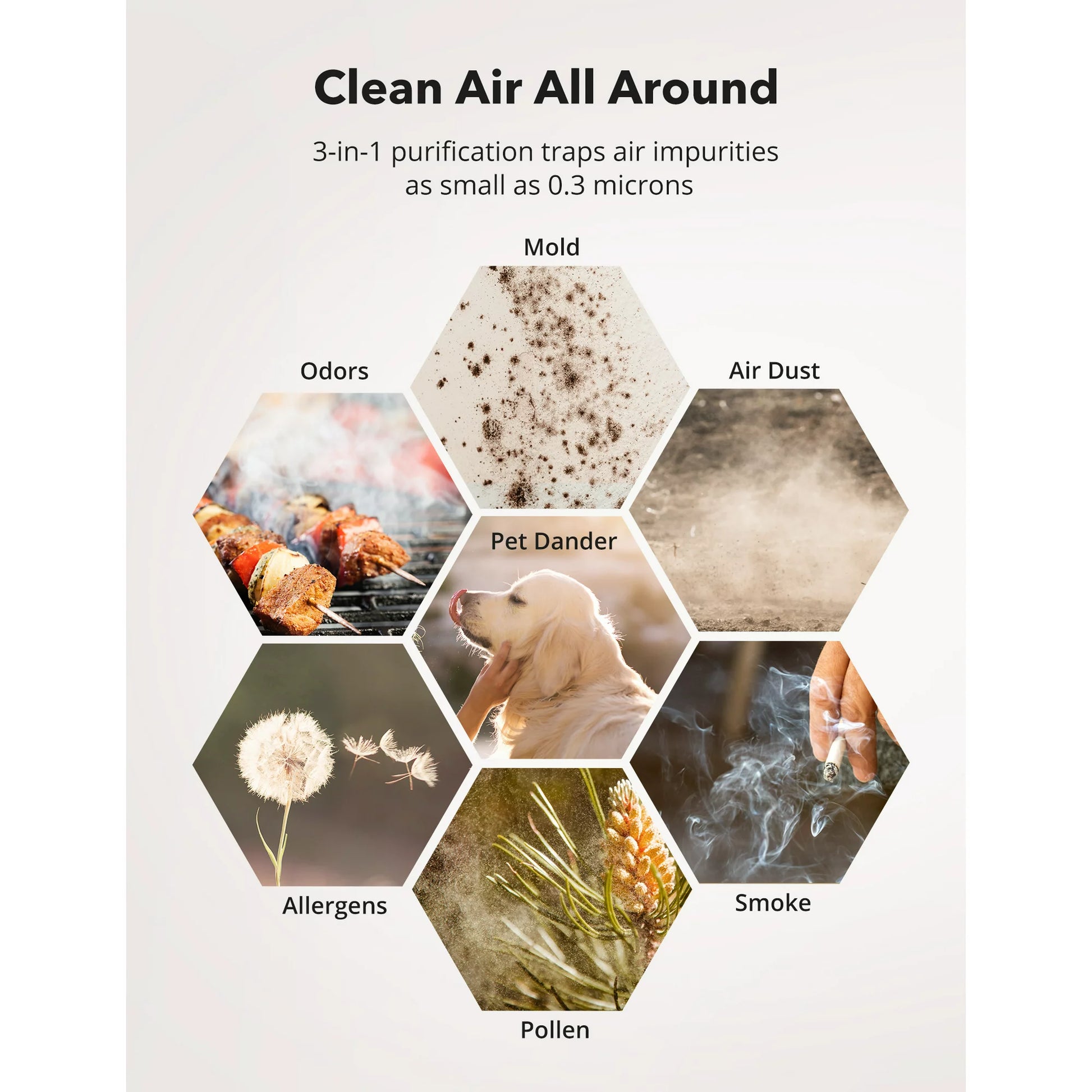 Set of 4 whole home TaoTronics Air Purifier with True HEPA